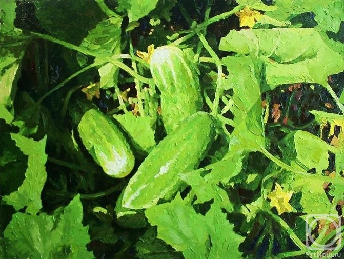 Rudnik Mihkail. Cucumbers grow