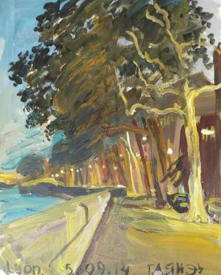 Painting Lyon, Saone River, Waterfront Fulchiron. Dobrovolskaya Gayane