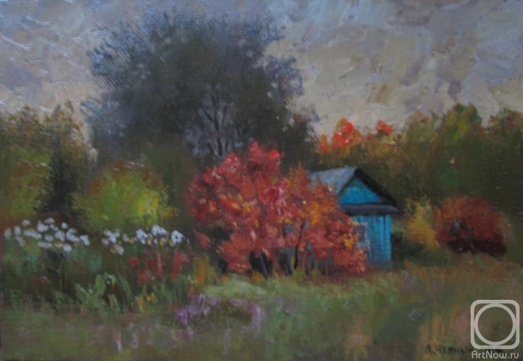 ������� ������ �� ������. ������ ���������. �������