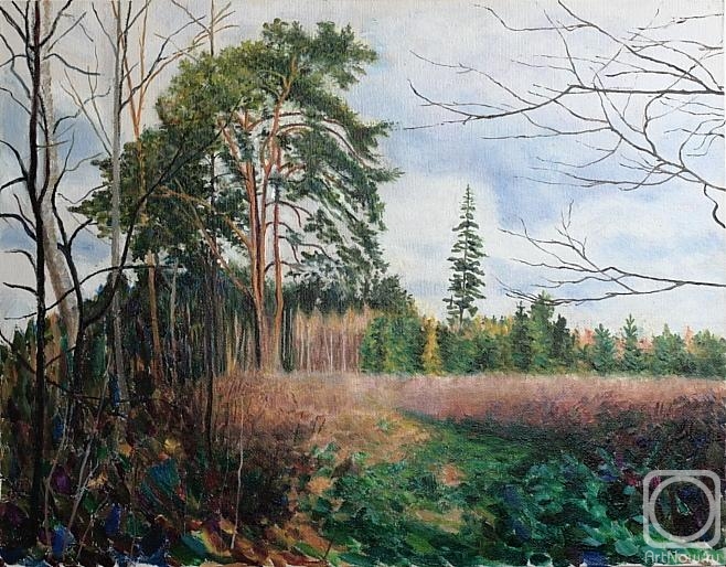 Filiykov Alexander. At the old woman of the Kirzhach River