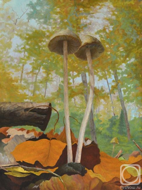 ������� ������ �� ������. ��������� ���������. ���� ���������