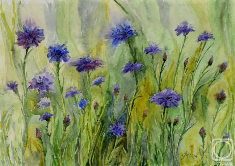 Рисуем васильки акварелью