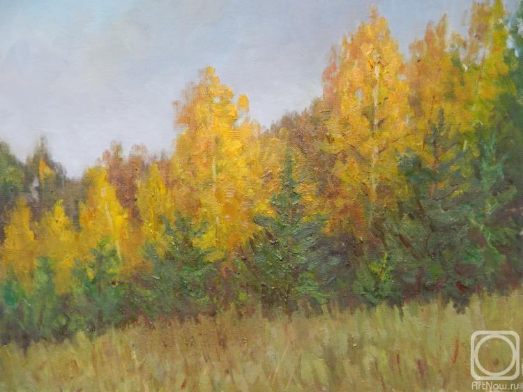 Popov Sergey. Autumn evening. Birch