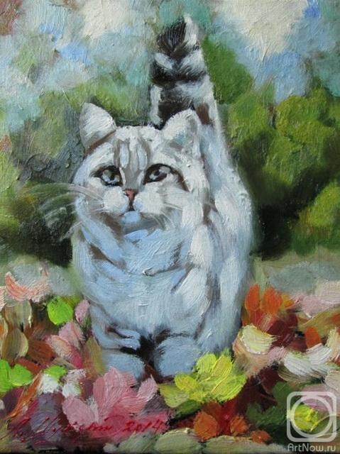 ������� ������ �� ������. ������ �������. ������� �����