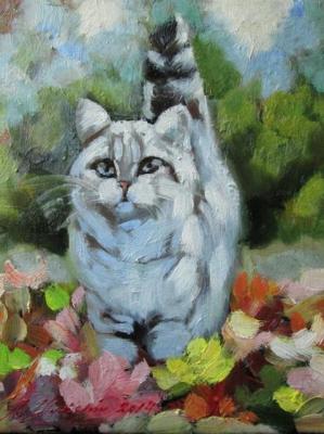 ������� �������� �����