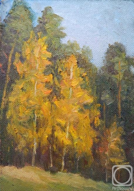 ������� ������ �� ������. ����� ������. �� ������ ���