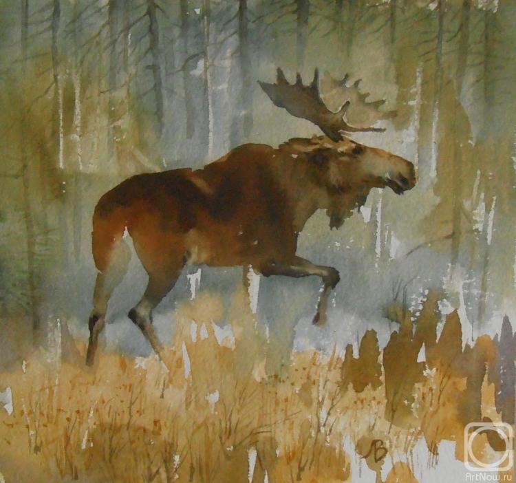 �������. ��������� ���������. �������