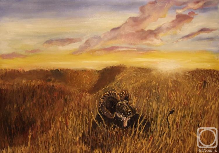 ������� ������ �� ������. ���������� �����. ���������� ������