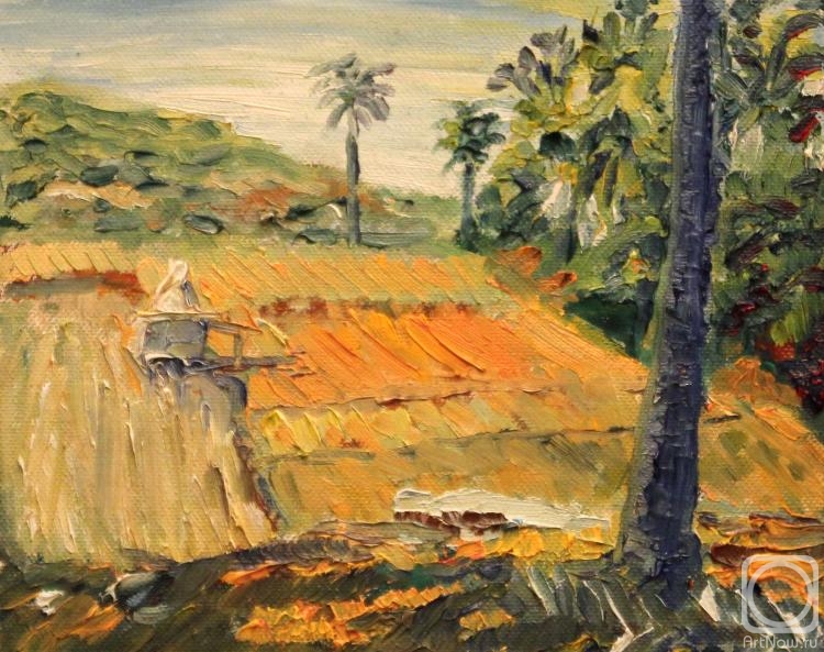 ������� ������ �� ������. ���������� �����. ����