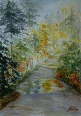A road through the forest. Early October. Lizlova Natalija