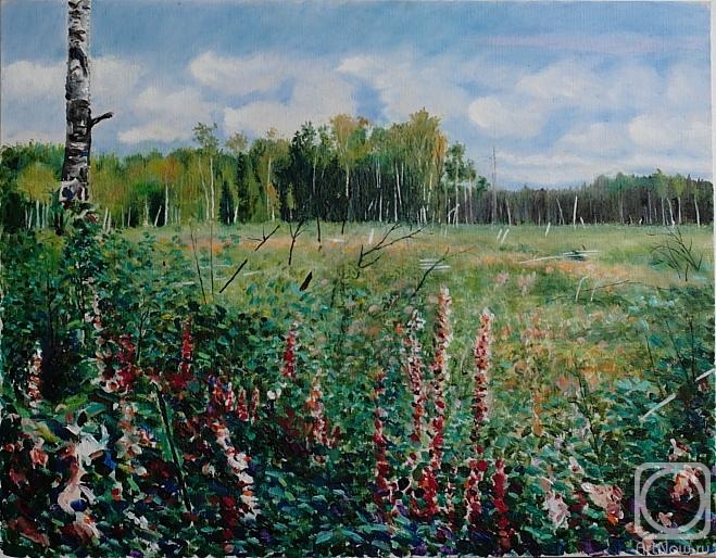 Filiykov Alexander. Dry swamp in the surroundings of the village of Plotavtsevo