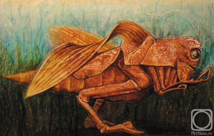 Khodchenko Valeriy. Grasshopper