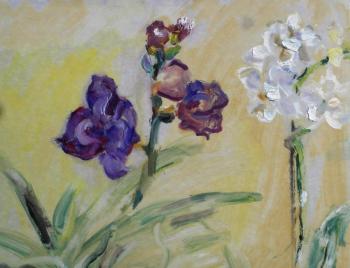 ����� � ����������, �������. ����� ������