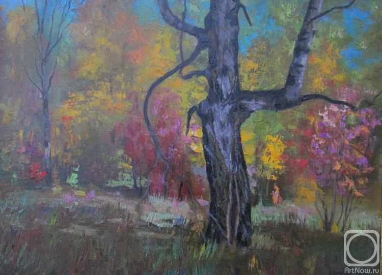Chernyy Alexandr. Autumn birch in the shade
