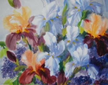 ������� ��������� �����