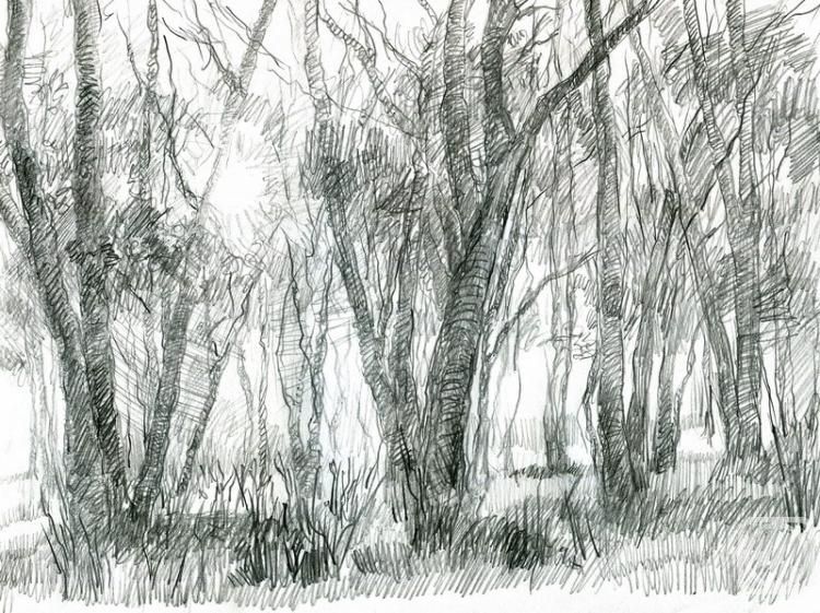 �������. ������ ����. ���� � �����