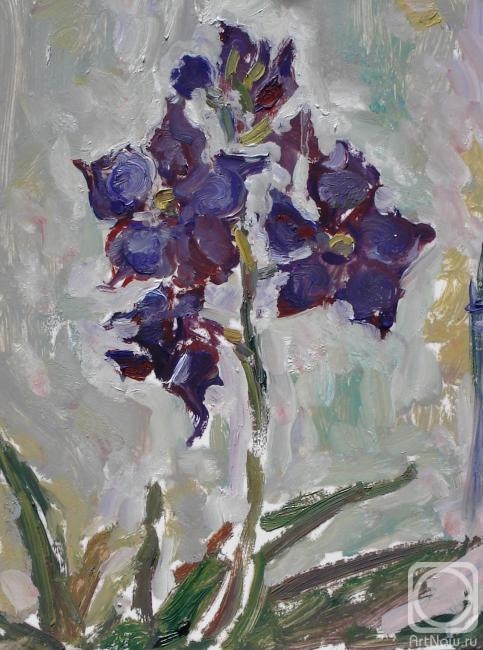 Sechko Xenia. Purple Dark Orchid