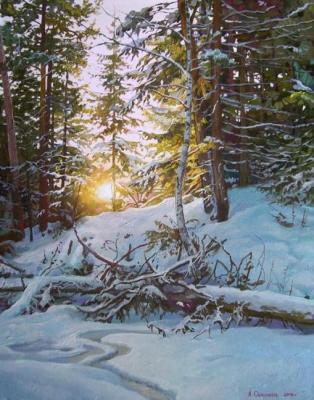 Enchantress Winter. Samokhvalov Alexander