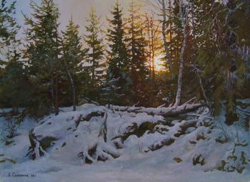 Sunset in the forest. Samokhvalov Alexander