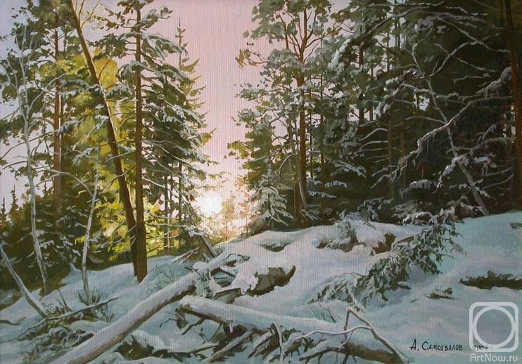 Samokhvalov Alexander. The forest beneath the snow