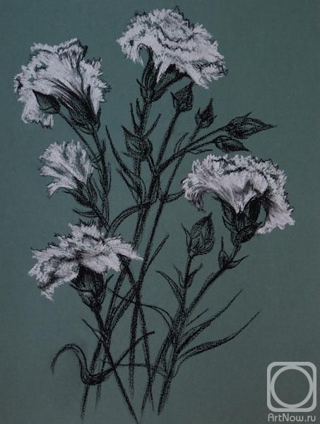 Lukaneva Larissa. 649 Bouquet of carnations