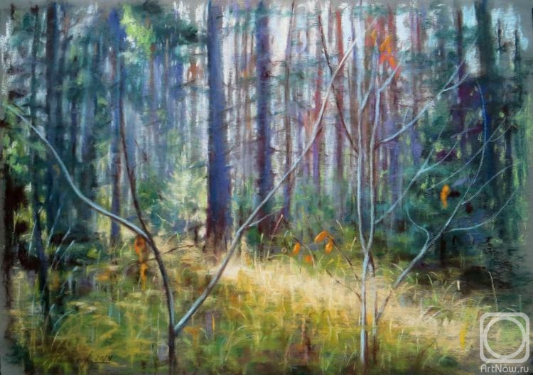 Konyuhova Natalia. Untitled