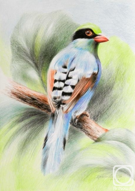 �������. �������� ��������. ������ �����