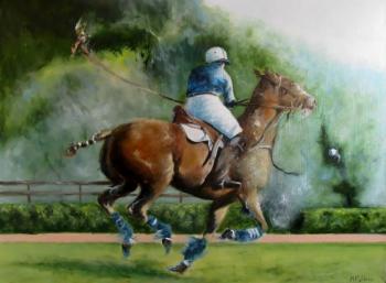 ������� ����� IXV�