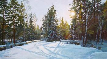 Stitches snow (Eating And Realism). Samokhvalov Alexander