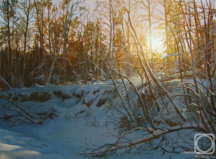 Samokhvalov Alexander. Dazzling Winter
