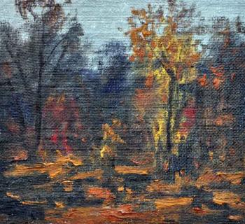 ������� ����������� ��������