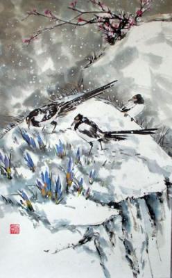 Magpies and crocuses in the snow