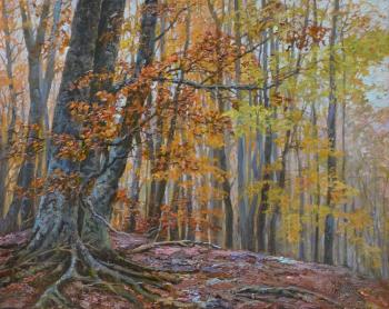 Old Forest. Panov Eduard
