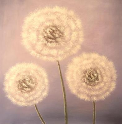 ������� �����������