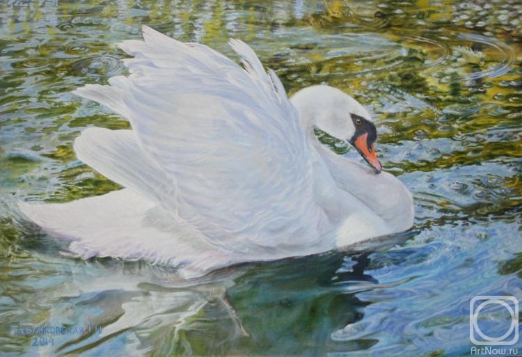 Kudryashov Galina. Swan solo. Overgrown pond