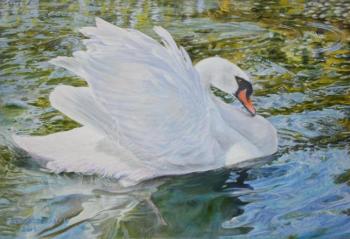 Swan solo. Overgrown pond. Kudryashov Galina