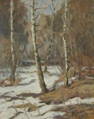 Forest in March. Rudin Petr