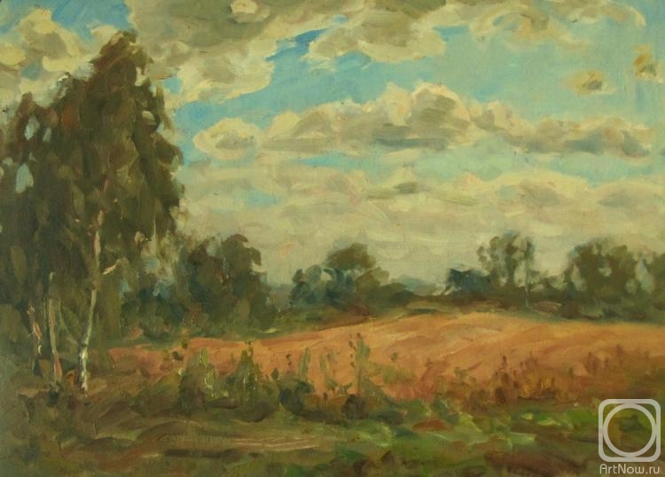 Rudin Petr. Summer study