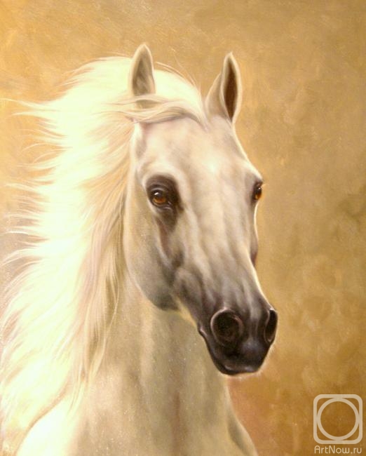 Bruno Tina. Horse
