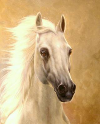 Bruno Tina Augusto. Horse