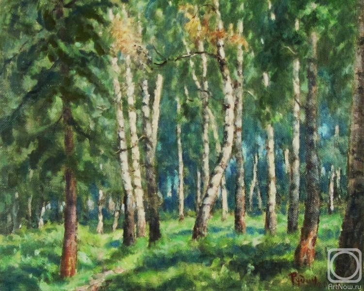 Rudin Petr. Birch grove
