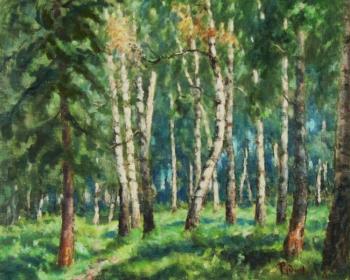 Birch grove. Rudin Petr
