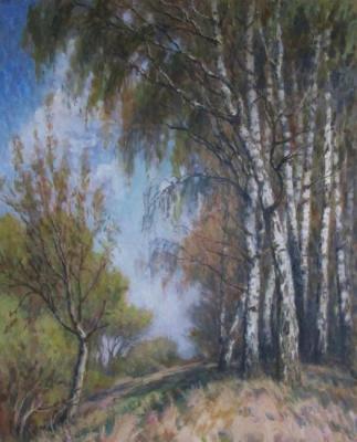 Birch spring. Rudin Petr