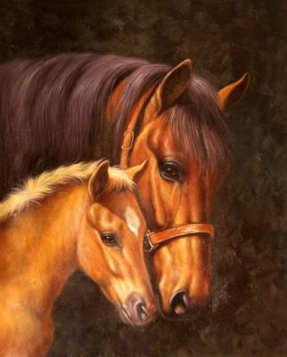 Bruno Tina Augusto. Horses
