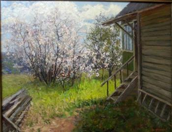 Cherry blossoms. Filippov Vladimir