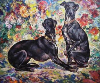 Two Italian greyhounds. Bastrykin Viktor