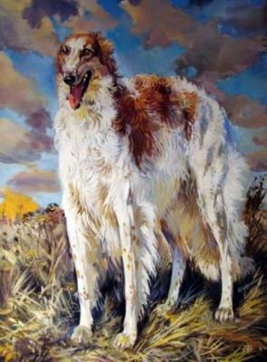 Russian Greyhound. Bastrykin Viktor