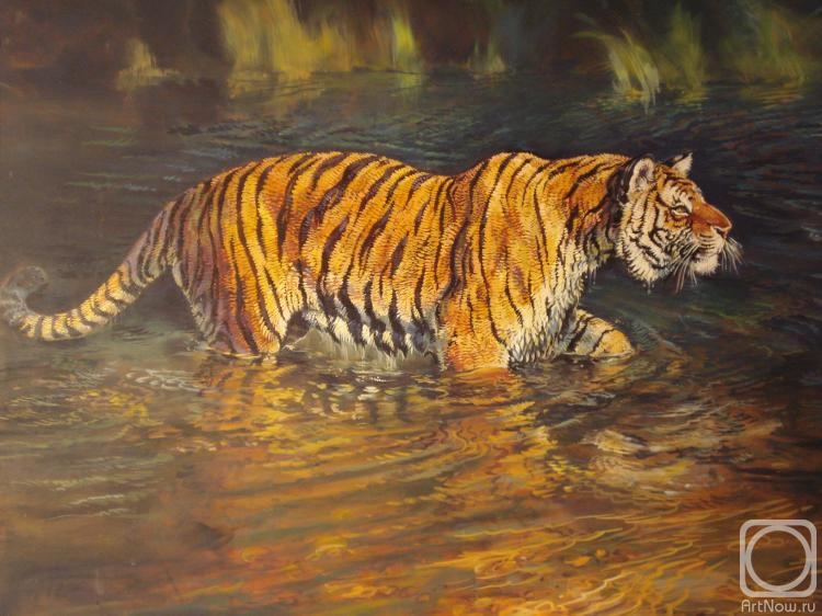 Bastrykin Viktor. Tiger