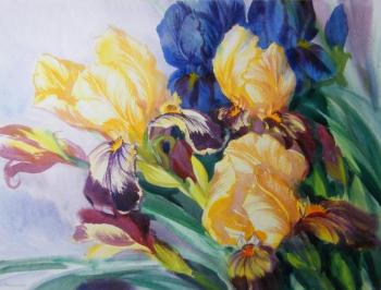 ������� ������� �����