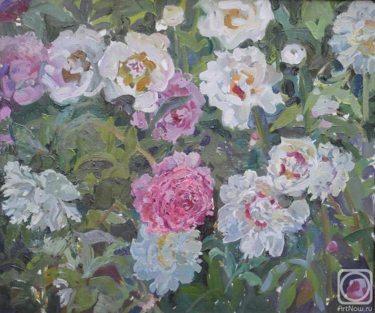 ������� ������ �� ������. �������� ������. �����